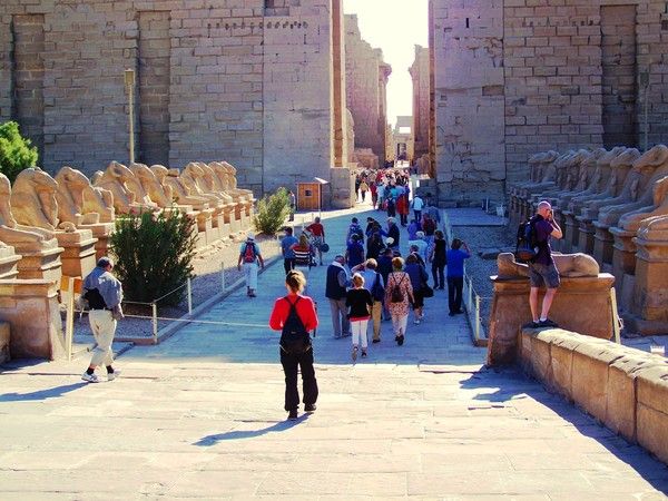 L'allée des Sphinx à Louxor.