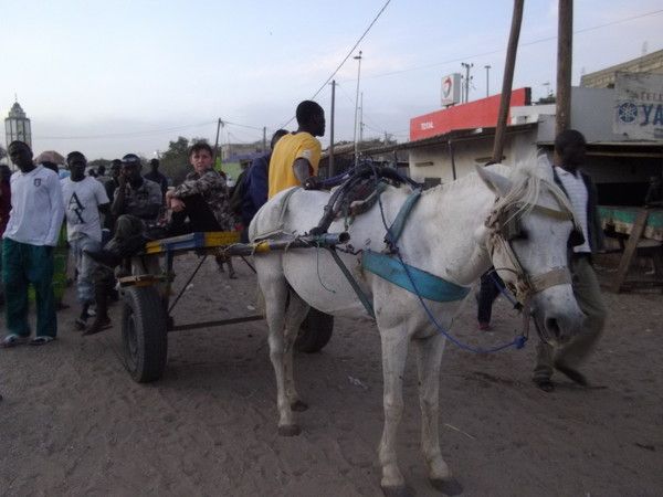 Transports en commun au Sénégal
