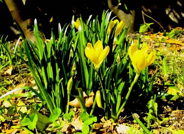 C'est la fin de l'été